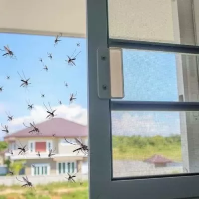moustiquaire sur une fenêtre avec volet roulant moustiquaire sur une fenêtre avec volet roulant