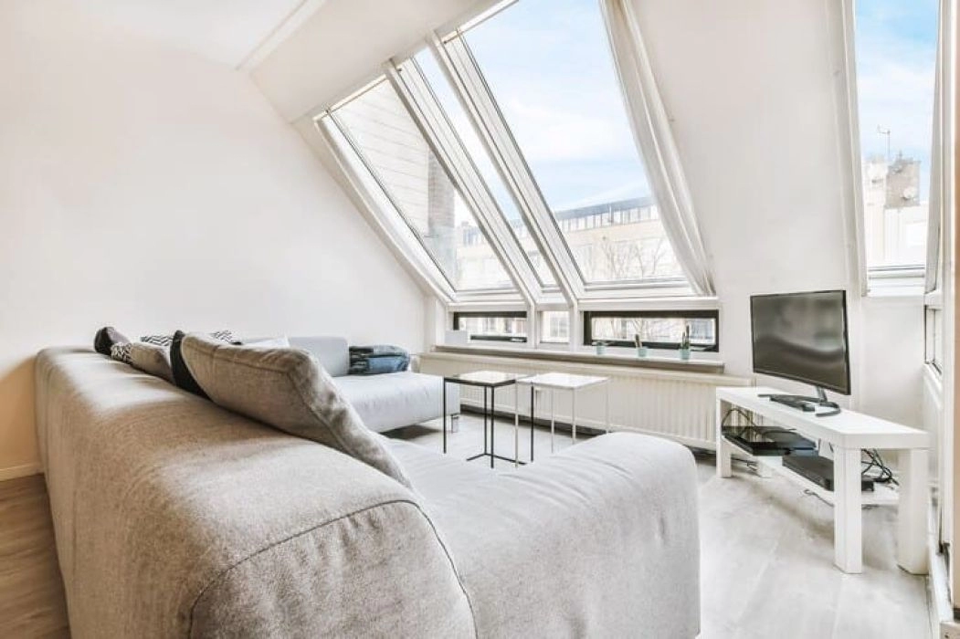Image Dimension Velux Ancienne Génération : Tout ce que vous devez savoir