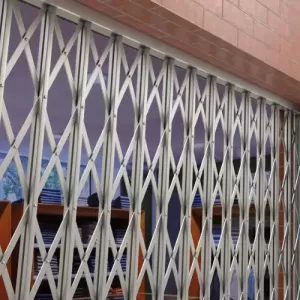 poseur grille extensible Paris 75